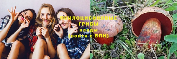 шишки Кулебаки
